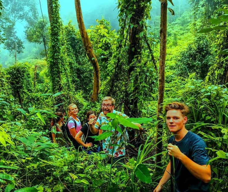 Chiang Mai: 7-Hour Doi Suthep National Park Summit Hiking - The ride down and the real value of $60