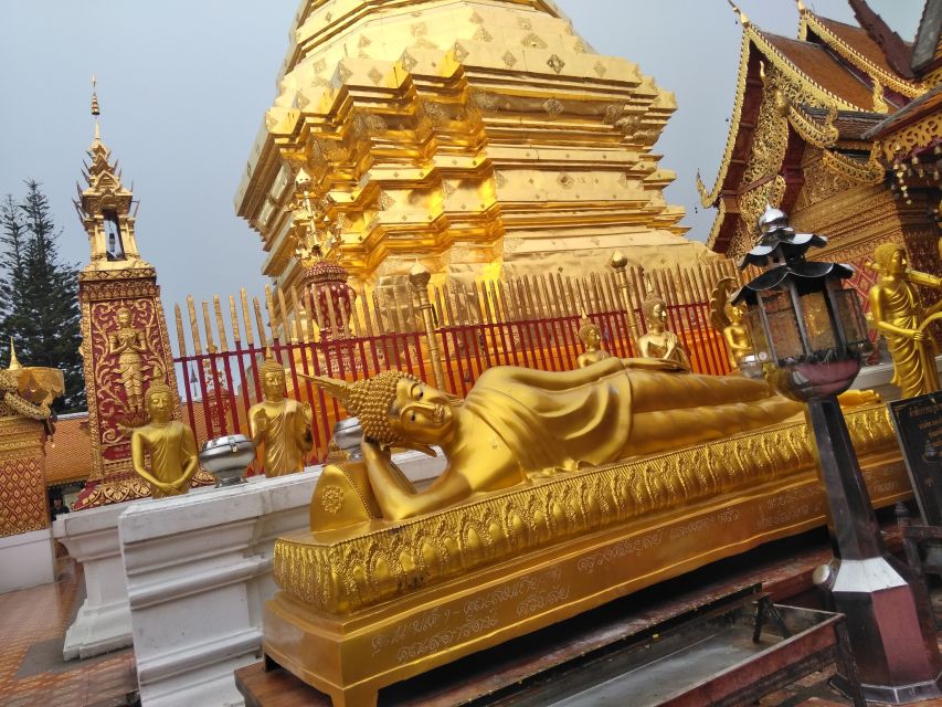 Chiang Mai: 7-Hour Doi Suthep National Park Summit Hiking - Who should book this hike?