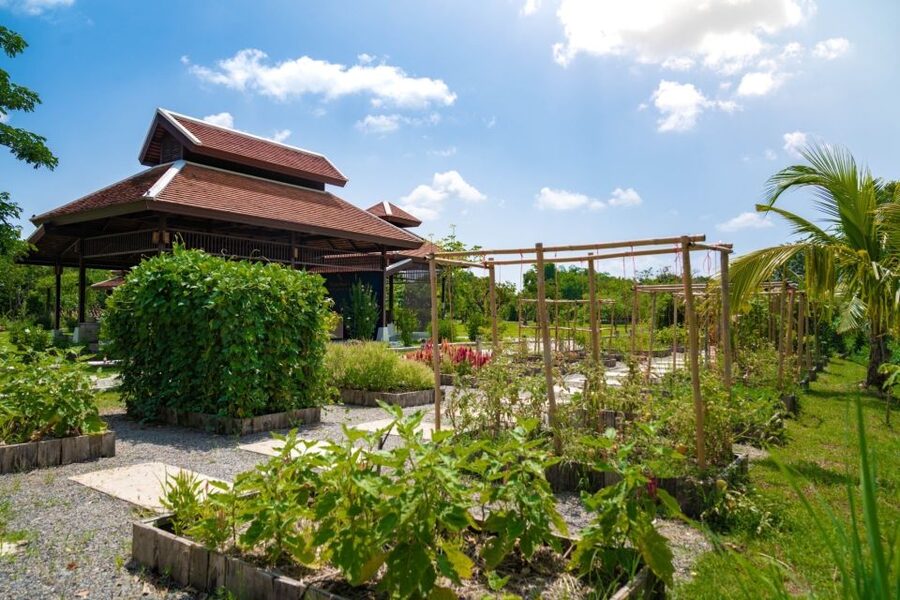 Chiang Mai: Authentic Cooking Class with Market & Farm Visit - Key points at a glance