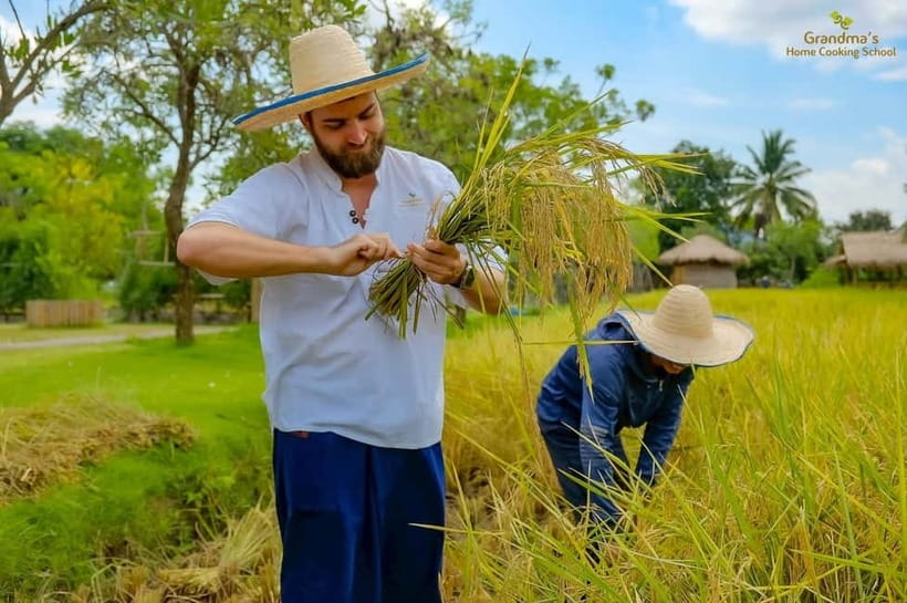 Chiang Mai: Authentic Cooking Class with Market & Farm Visit - Grandma’s organic farm and the chicken coop