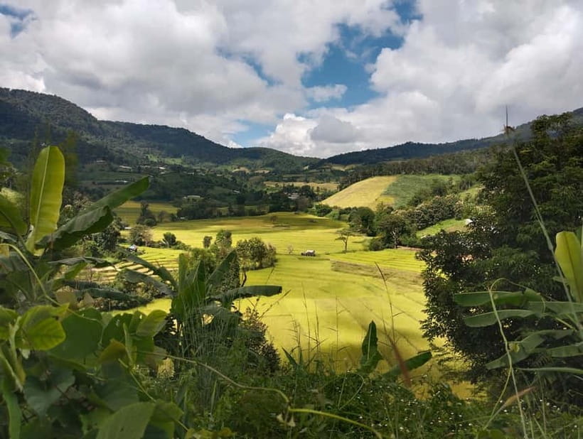 Chiang Mai Authentic Trekking - What makes this trek worth considering