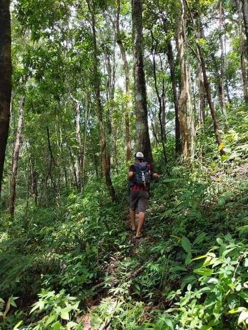 Chiang Mai Authentic Trekking - Farms, coffee, and a less polished side of Thailand