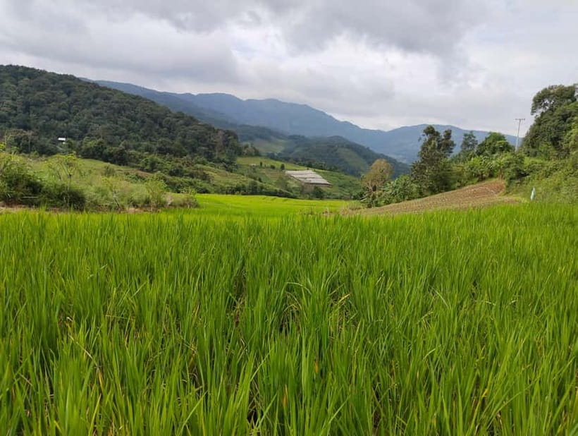 Chiang Mai Authentic Trekking - A viewpoint before the walking begins