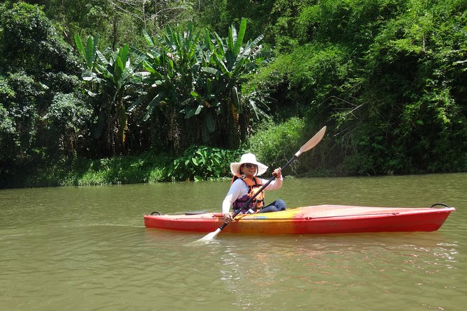 Chiang Mai Biking & River Kayak : Gentle Thrills in a Lush Valley - Key points to know before you book