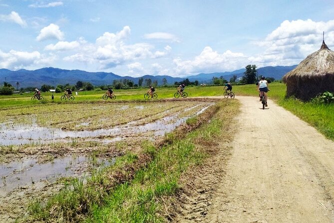 Chiang Mai Biking & River Kayak : Gentle Thrills in a Lush Valley - Guides, safety, and the practical setup