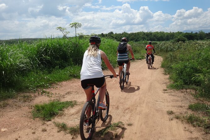 Chiang Mai Biking & River Kayak : Gentle Thrills in a Lush Valley - Who will enjoy this outing most