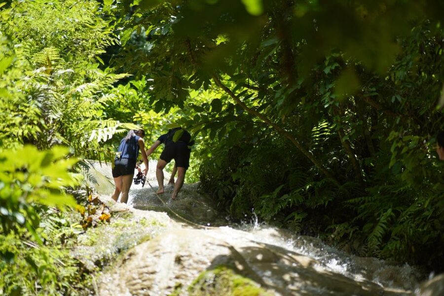 Chiang Mai: Bua Thong Sticky Waterfall & Huge Cave & Buffet - Who should book this outing?