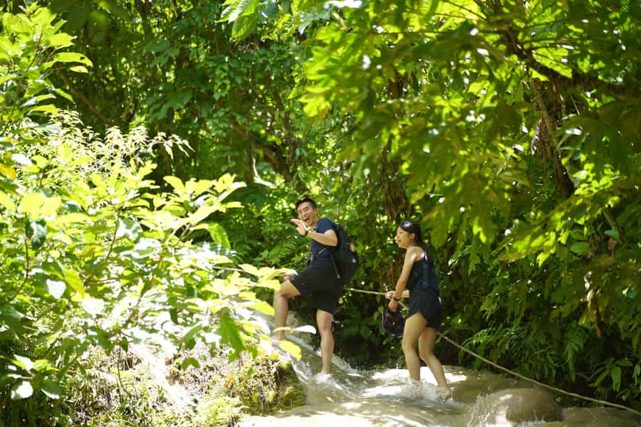 Chiang Mai: Bua Thong Sticky Waterfall & Huge Cave & Buffet - Why Bua Thong is called Sticky Waterfall