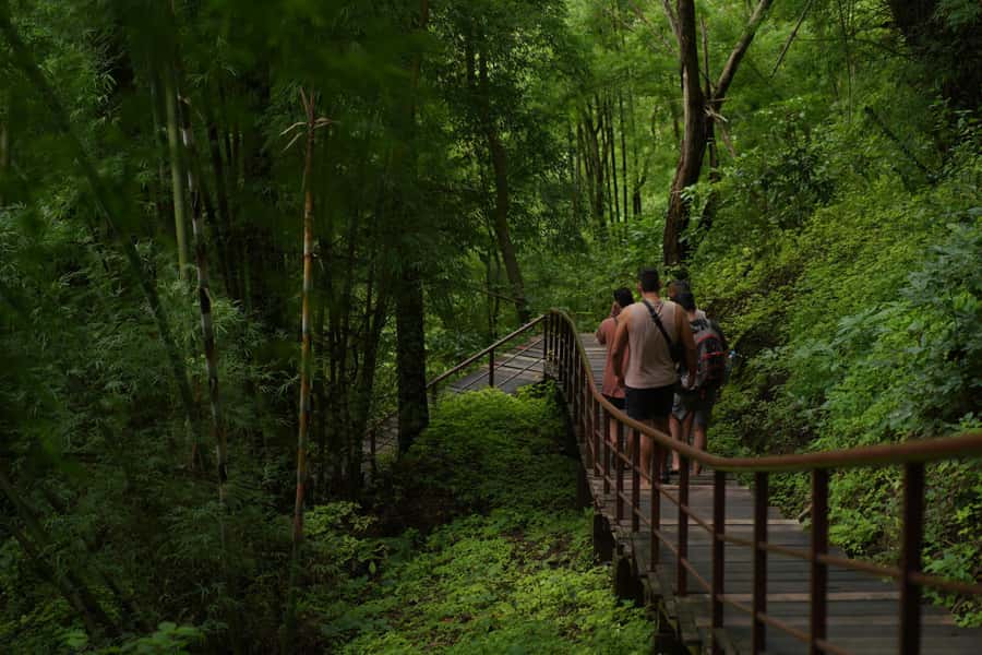 Chiang Mai: Bua Thong Sticky Waterfall & Huge Cave & Buffet - Is $30 good value?