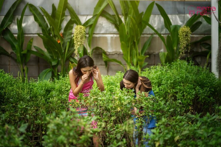 Chiang Mai: Cooking Class with Organic Farm at Mama Noi - What the $32 price really buys