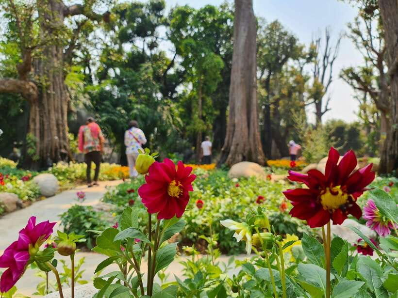 Chiang Mai: Dantewada Land of Angels & Sticky Waterfall Tour - The Seven-Colored Fountain adds meaning to the stop