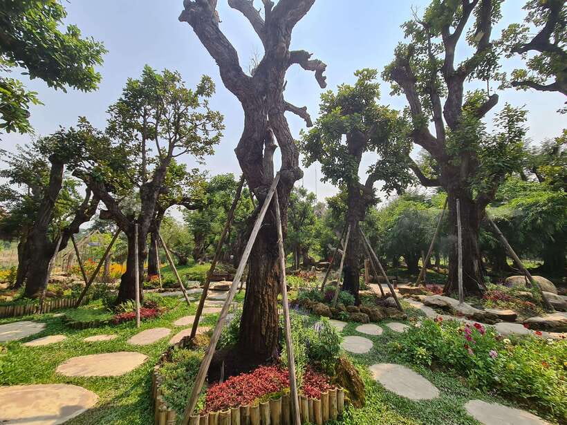 Chiang Mai: Dantewada Land of Angels & Sticky Waterfall Tour - Who will enjoy this Chiang Mai outing most?