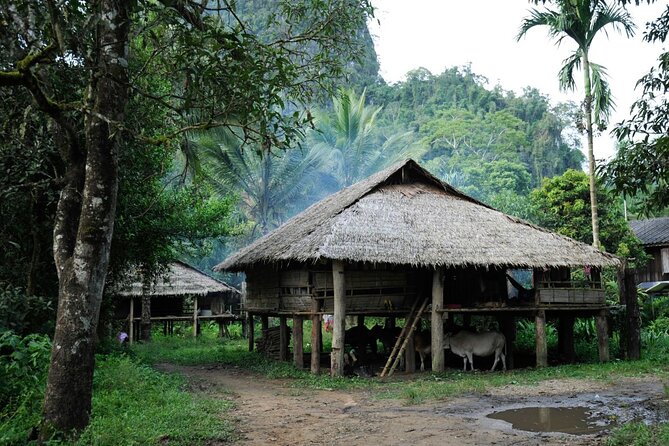Chiang Mai Day Tour: Chiang Dao Cave and Hill Tribes - Is $52.14 a Fair Price?