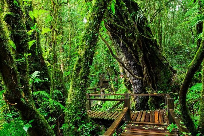 Chiang Mai - Doi Inthanon Full day Tour - The Twin Royal Pagodas are worth the admission fee