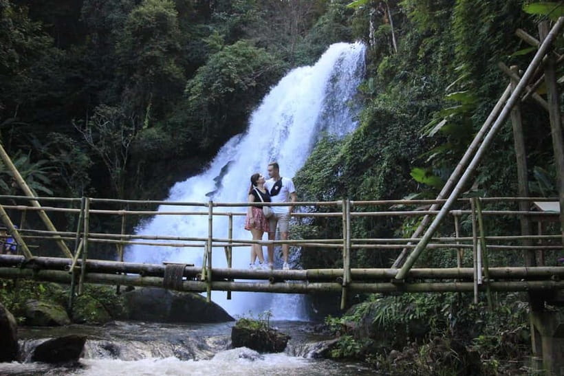 Chiang Mai: Doi Inthanon Hiking & Elephant Sanctuary Program - Doi Inthanon’s cool summit and Twin Pagodas