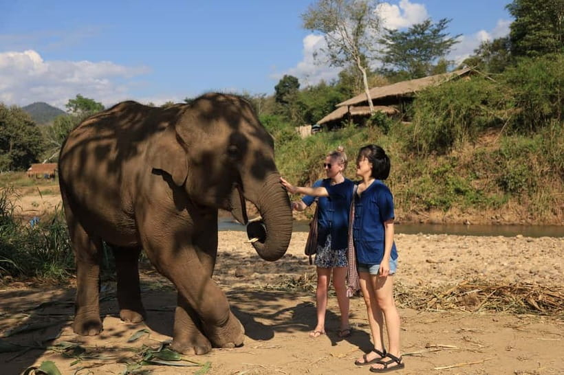 Chiang Mai: Doi Inthanon Hiking & Elephant Sanctuary Program - Transport, comfort, and the real pace