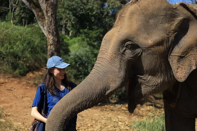 Chiang Mai: Doi Inthanon Hiking & Elephant Sanctuary Program - Meeting the elephants at Living Green