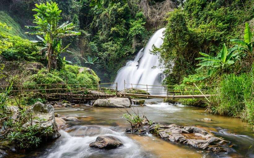 Chiang Mai: Doi Inthanon National Park and Pha Dok Siew Trek - Quick take: five details worth knowing