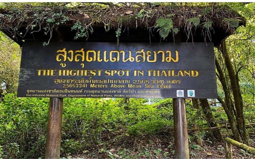 Chiang Mai: Doi Inthanon National Park and Pha Dok Siew Trek - Pha Dok Siew Nature Trail is the day’s main event