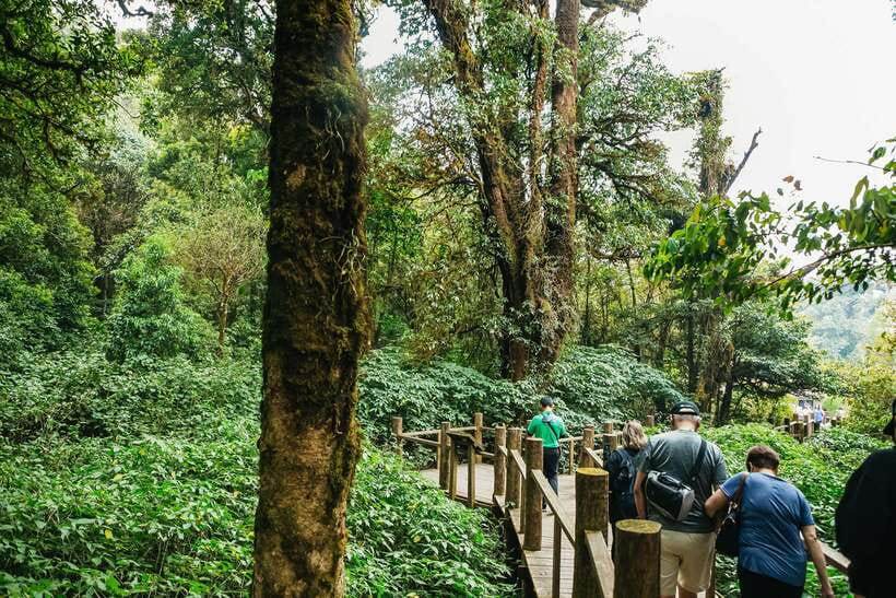 Chiang Mai: Doi Inthanon National Park Eco-Friendly Tour - Why Doi Inthanon makes a good day from Chiang Mai
