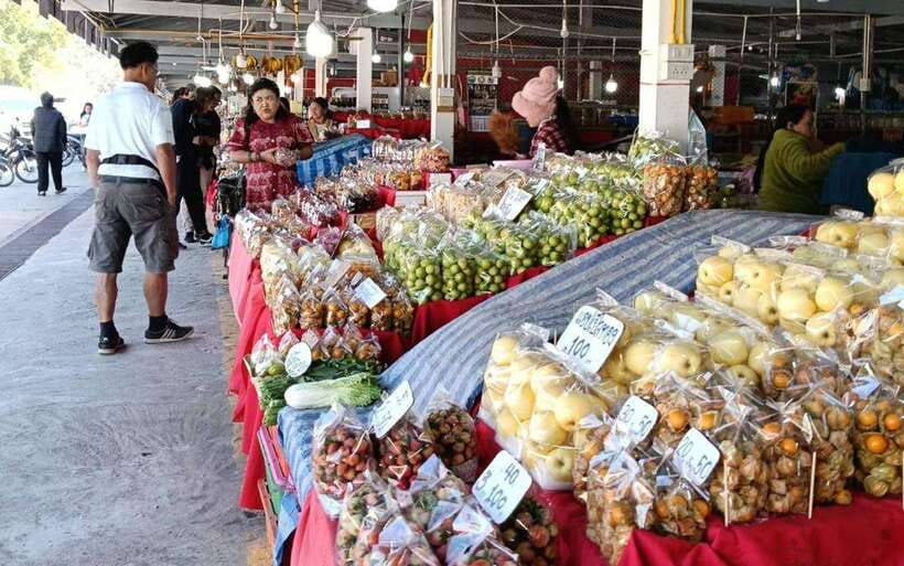 Chiang Mai:Doi Inthanon National Park & Hike at Kew Mae Pan - What to pack for Doi Inthanon