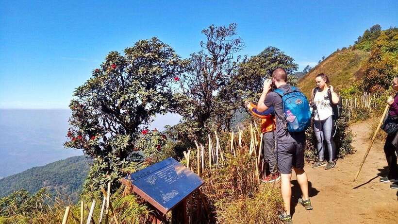 Chiang Mai:Doi Inthanon National Park & Hike at Kew Mae Pan - Why Doi Inthanon is worth the long day