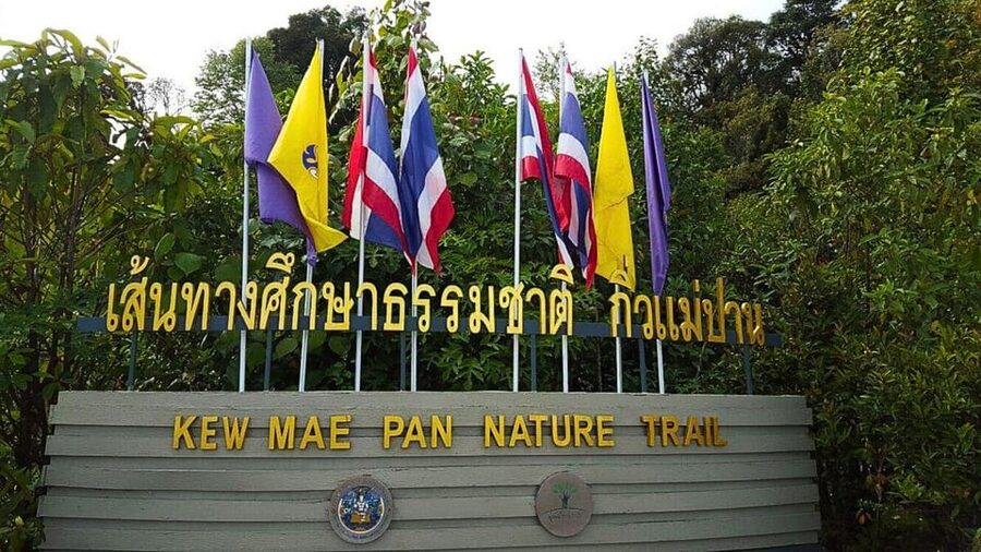 Chiang Mai:Doi Inthanon National Park & Hike at Kew Mae Pan - Is $41 good value?