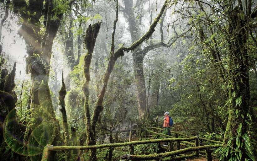 Chiang Mai: Doi Inthanon National Park Sightseeing Only - Ang Ka Luang Nature Trail and Thailand’s summit area