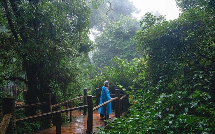 Chiang Mai: Doi Inthanon National Park Sightseeing Only - Wachirathan Waterfall, the grand finale
