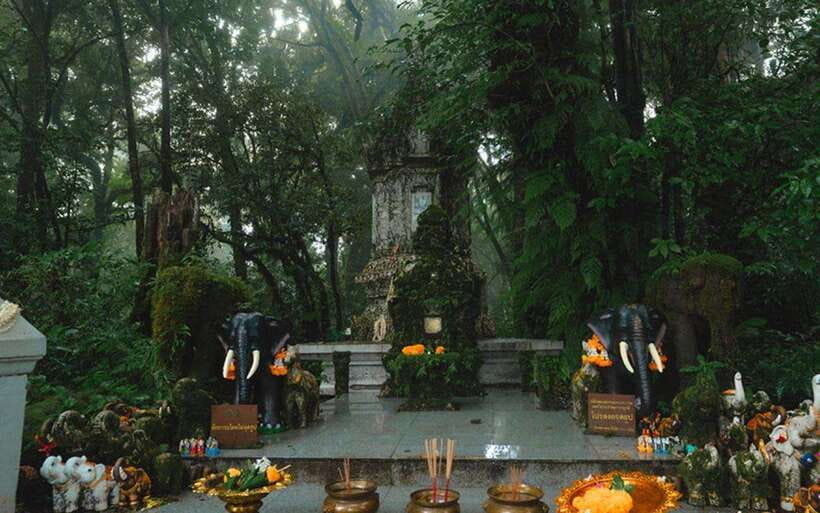 Chiang Mai: Doi Inthanon National Park Sightseeing Only - Price, entrance fees, and what you really get