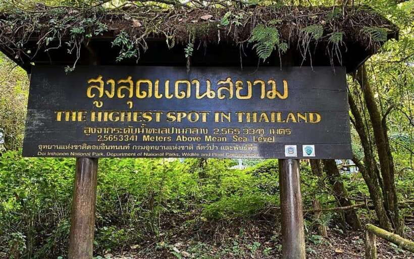 Chiang Mai: Doi Inthanon National Park Sightseeing Only - Who will enjoy this Doi Inthanon day trip?