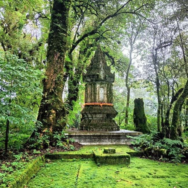 Chiang Mai: Doi Inthanon National Park+Trek Pha Dok Siew - Why this Doi Inthanon day trip works