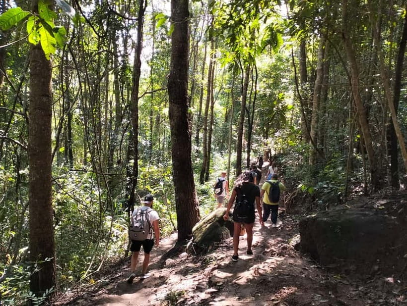 Chiang Mai: Doi Inthanon National Park+Trek Pha Dok Siew - Pha Dok Siew Nature Trail with a local guide