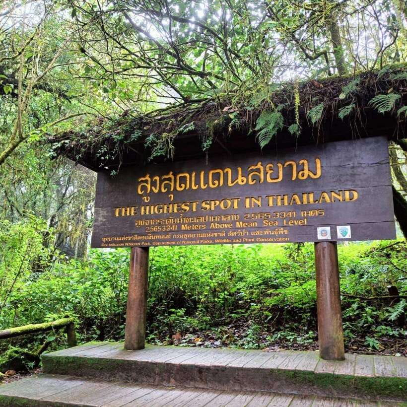 Chiang Mai: Doi Inthanon National Park & Waterfall Day Tour - The King and Queen pagodas above the clouds