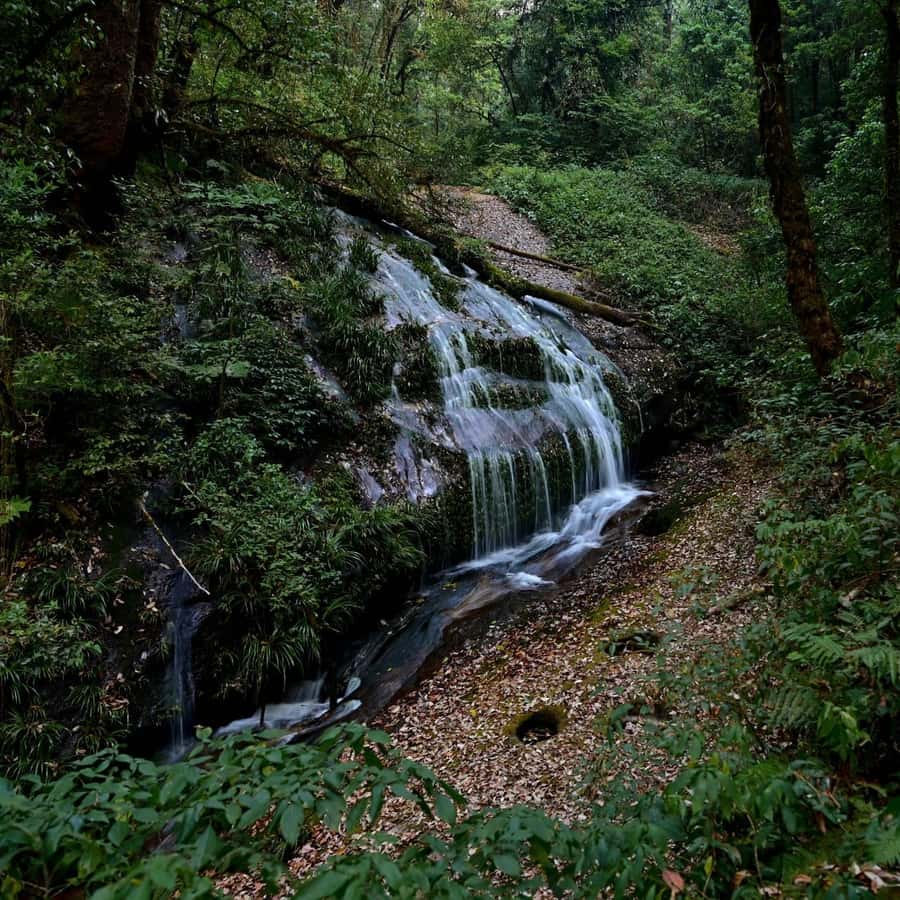 Chiang Mai: Doi Inthanon National Park, Waterfall & Lunch - Thailand’s highest point: a quick visit, not a summit hike