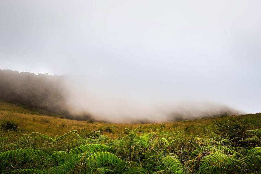 Chiang Mai: Doi Inthanon National Park, Waterfall & Lunch - A Karen village, local lunch, and a different view of the park