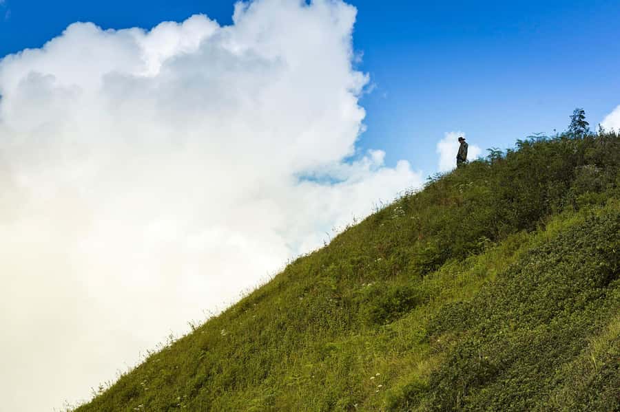 Chiang Mai: Doi Inthanon National Park, Waterfall & Lunch - Guides, photos, and the small-group advantage