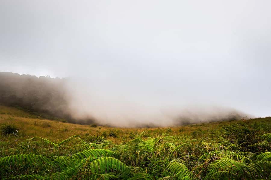 Chiang Mai: Doi Inthanon National Park, Waterfall & Lunch - The drive from Chiang Mai and what the schedule feels like