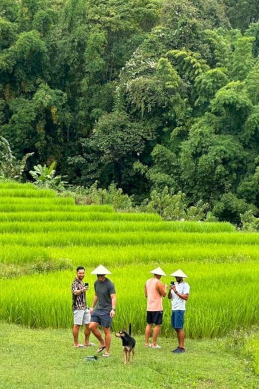 Chiang Mai: Doi Inthanon Park and Pha Dok Siew Trail Trek - Leaving Chiang Mai for Doi Inthanon
