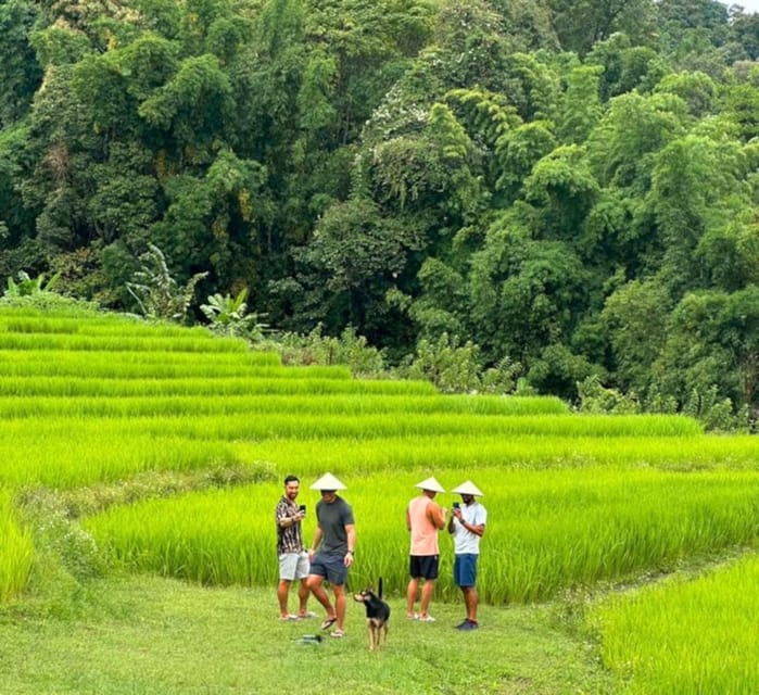 Chiang Mai: Doi Inthanon Park and Pha Dok Siew Trail Trek - The Hmong Market and a Village Lunch