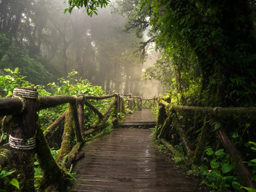 Chiang Mai: Doi Inthanon Park and Pha Dok Siew Trail Trek - Coffee in Baan Mae Klang Luang