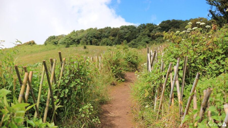 Chiang Mai: Doi Inthanon Park Day Trip with Kiw Mae Pan Hike - The Kew Mae Pan Trail Is the Main Reason to Book