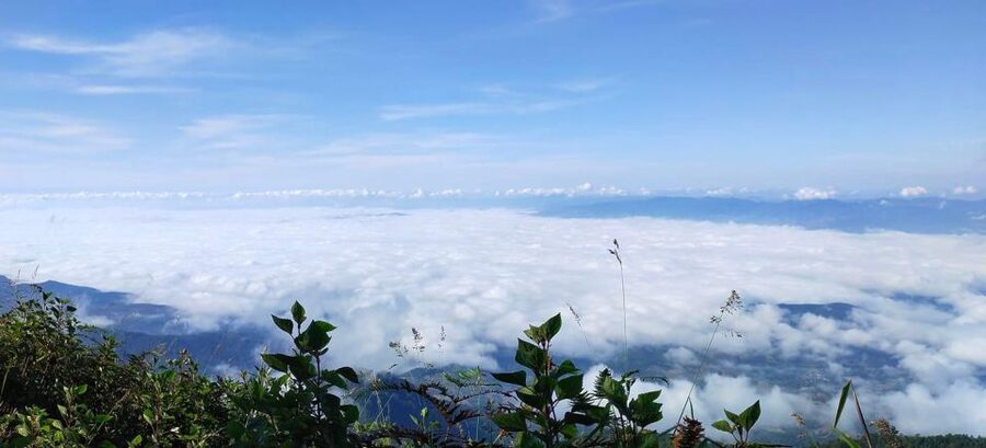 Chiang Mai: Doi Inthanon Park Day Trip with Kiw Mae Pan Hike - Thailand’s Highest Point Is More About the Marker