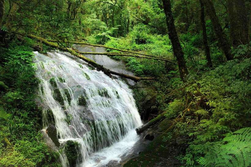 Chiang Mai: Doi Inthanon Park Tour & Kew Mae Pan Trail Hike - Kew Mae Pan, the reason to choose this tour