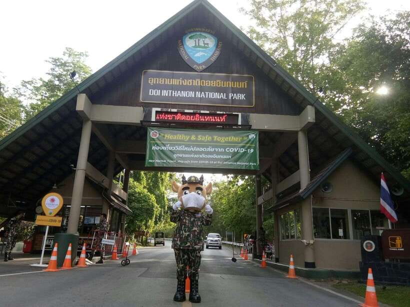Chiang Mai: Doi Inthanon Park Tour & Kew Mae Pan Trail Hike - Lunch, transport, and the value of $51