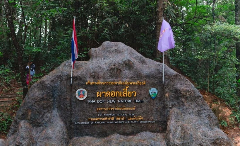 Chiang Mai: Doi Inthanon Trip with Pha Dok Siew Guided Trek - King and Queen Pagodas above the clouds