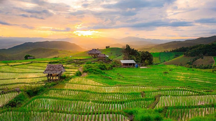 Chiang Mai: Doi Inthanon Trip with Pha Dok Siew Guided Trek - Pha Dok Siew, the trail worth coming for