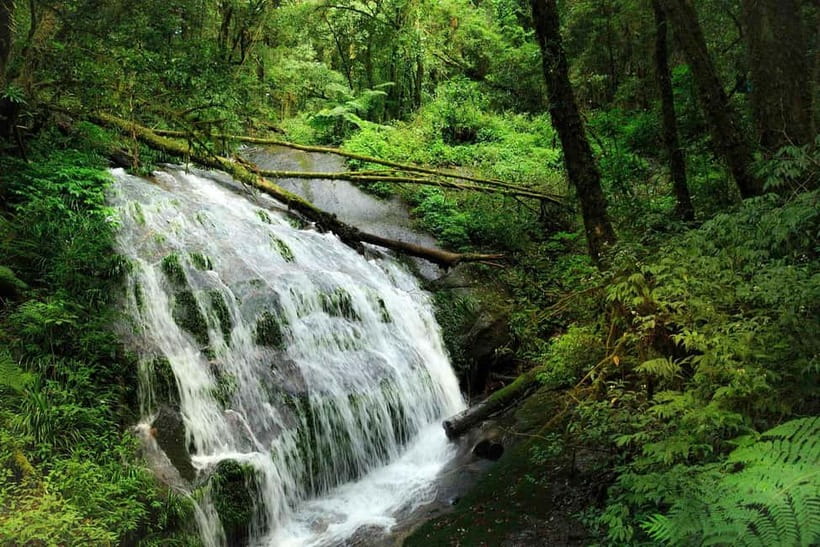 Chiang Mai: Doi Inthanon Trip with Pha Dok Siew Guided Trek - Waterfalls, photographs, and the no-swimming rule