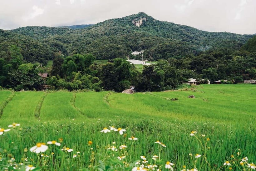 Chiang Mai: Doi Inthanon Trip with Pha Dok Siew Guided Trek - Food, guides, and the human side of the trip