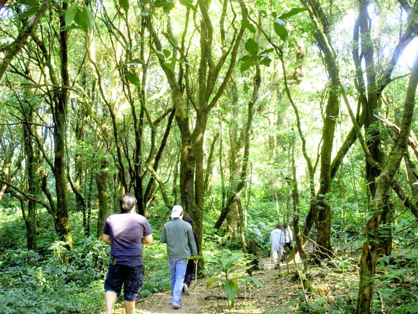 Chiang Mai: Doi Inthanon, Waterfalls, & Tribal Villages Tour - Weather, clothing, and the pace of the day